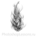 Кисти в виде огня для Фотошопа - кисть 20