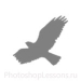 Кисти в виде силуэтов птиц для Фотошопа - кисть 56