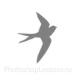 Кисти в виде силуэтов птиц для Фотошопа - кисть 63