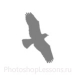 Кисти в виде силуэтов птиц для Фотошопа - кисть 64