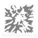 Кисти в виде клякс для Фотошопа - кисть 5