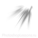 Кисти в виде лучей для Фотошопа - кисть 58