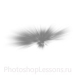 Кисти в виде лучей для Фотошопа - кисть 63