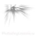 Кисти в виде лучей для Фотошопа - кисть 70