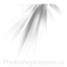 Кисти в виде лучей для Фотошопа - кисть 71
