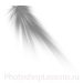 Кисти в виде лучей для Фотошопа - кисть 77