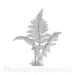 Кисти: силуэты деревьев для Фотошопа - кисть 34