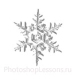 Кисти: снежинки для Фотошопа - кисть 39