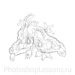 Кисти: цветочные орнаменты для Фотошопа - кисть 49