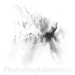 Кисти: абстрактные для Фотошопа - кисть 40