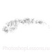 Кисти: брови для Фотошопа - кисть 55