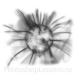 Кисти: плазма для Фотошопа - кисть 6